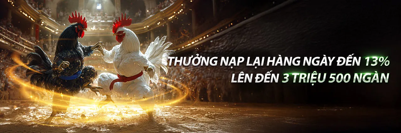 Đá Gà Thomo 27/6 CPC3 Sân Đấu